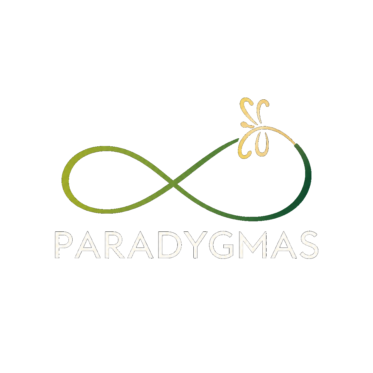 Paradygmas